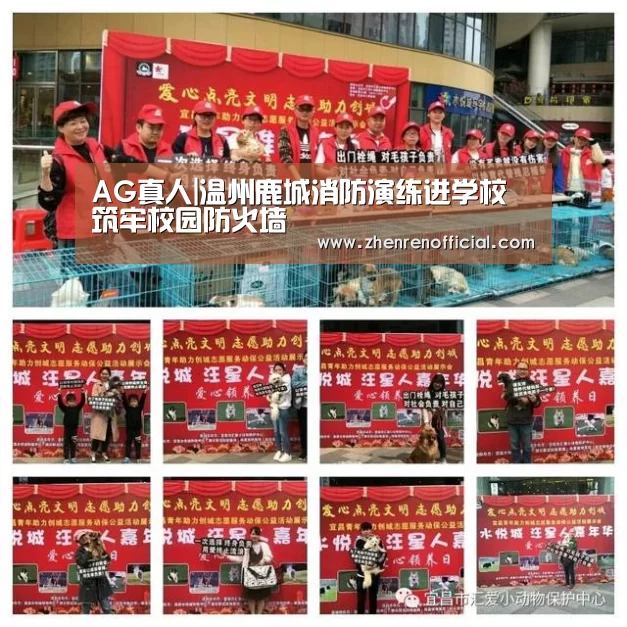 AG真人|温州鹿城消防演练进学校 筑牢校园防火墙(图2) AG亚游真人平台