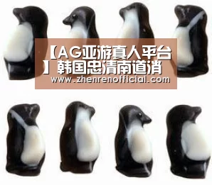 【AG亚游真人平台】韩国忠清南道消防本部代表团到上海消防交流访问(图2) AG真人平台
