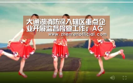 大通湖消防深入辖区重点企业开展监督检查工作：AG真人