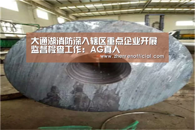 大通湖消防深入辖区重点企业开展监督检查工作:AG真人(图2) AG真人平台