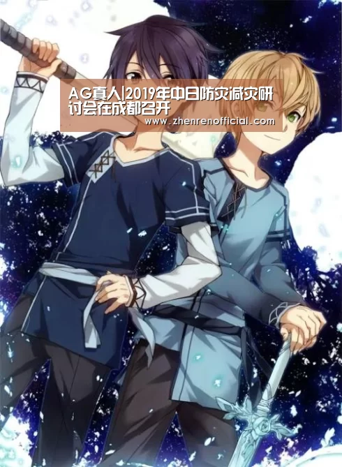 AG真人|2019年中日防灾减灾研讨会在成都召开